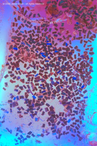 5886_RT16_b